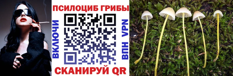 Псилоцибиновые грибы Cubensis  Дрезна 