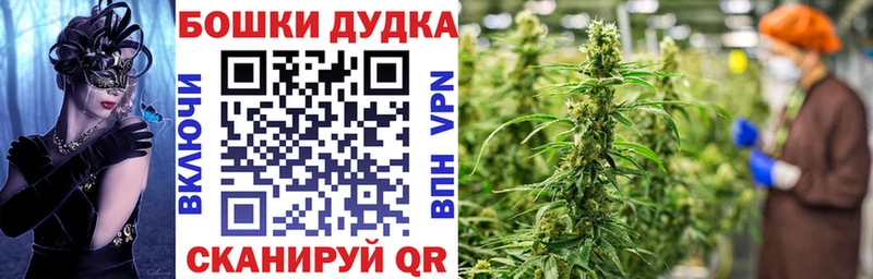 купить наркотики цена  Дрезна  Бошки марихуана марихуана 