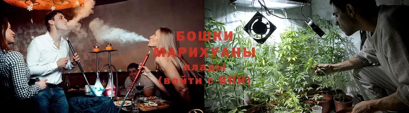 магазин    Дрезна  Конопля SATIVA & INDICA 